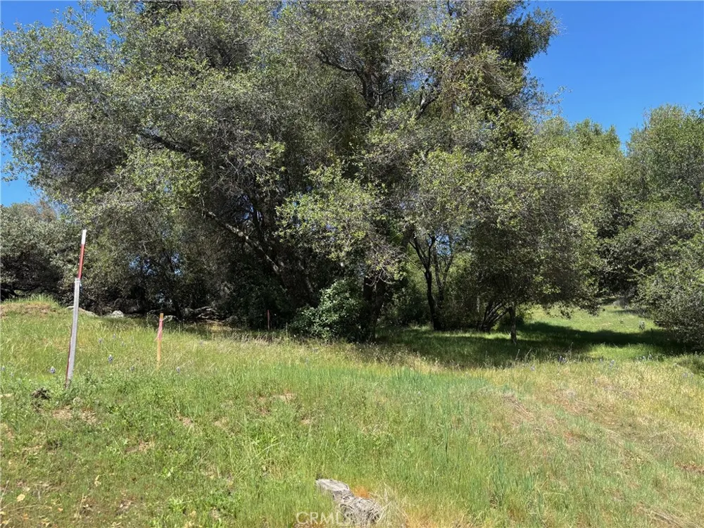 Valley View Mariposa, CA 95338