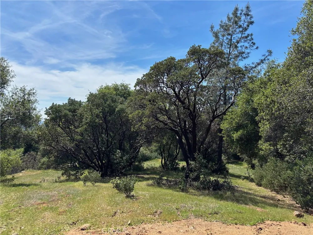 Valley View Mariposa, CA 95338