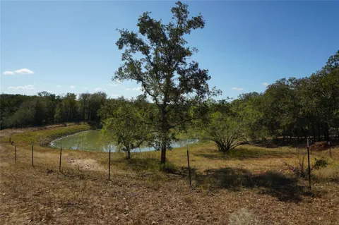 Old Seguin Luling Road