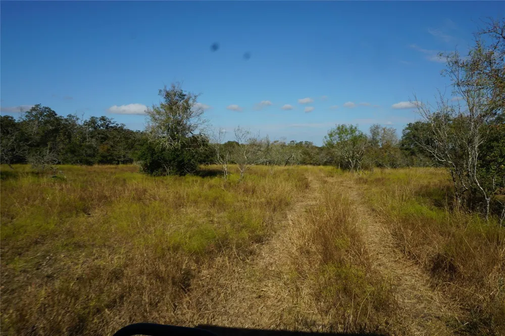 Old Seguin Luling Road Kingsbury, TX 78638