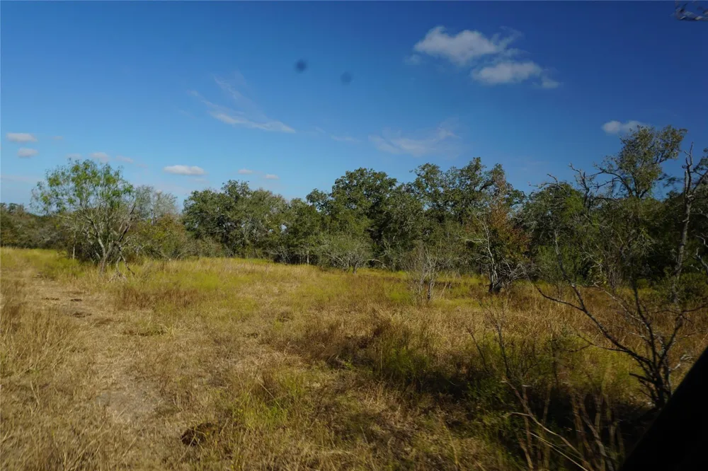 Old Seguin Luling Road Kingsbury, TX 78638