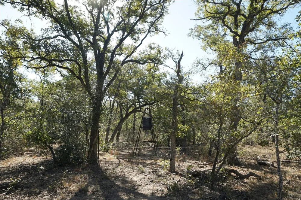 Old Seguin Luling Road Kingsbury, TX 78638