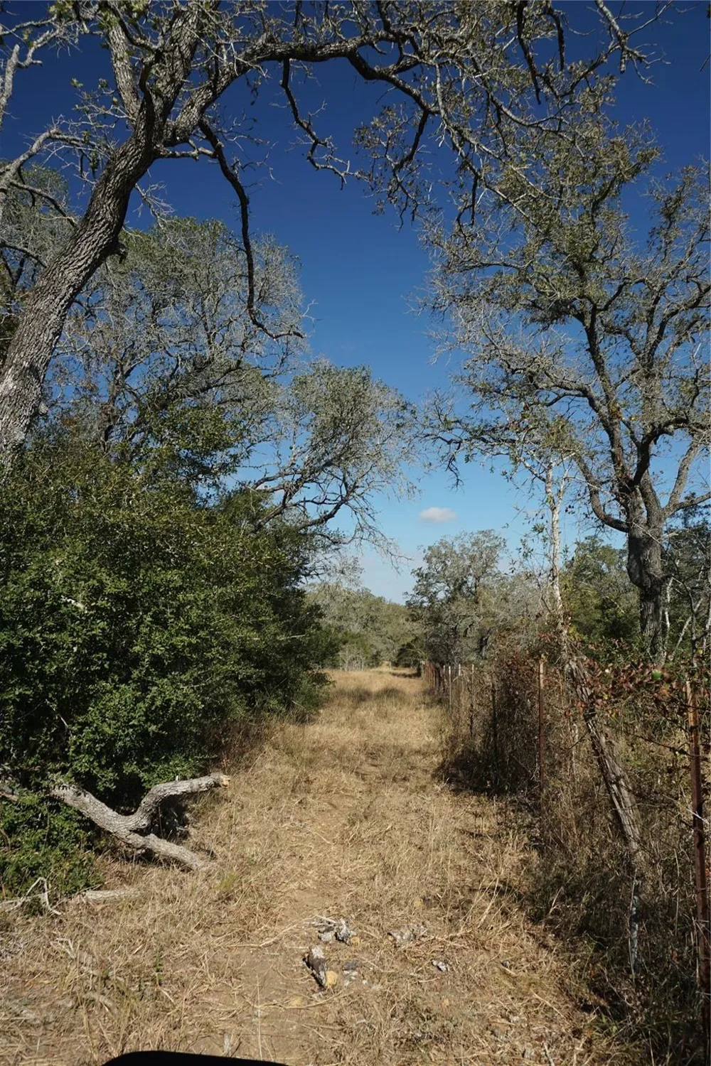 Old Seguin Luling Road Kingsbury, TX 78638