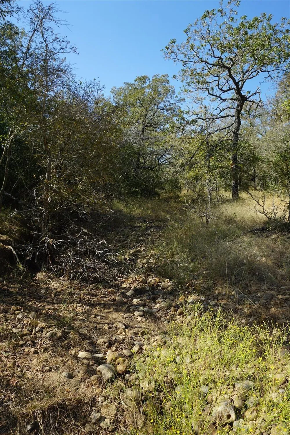 Old Seguin Luling Road Kingsbury, TX 78638