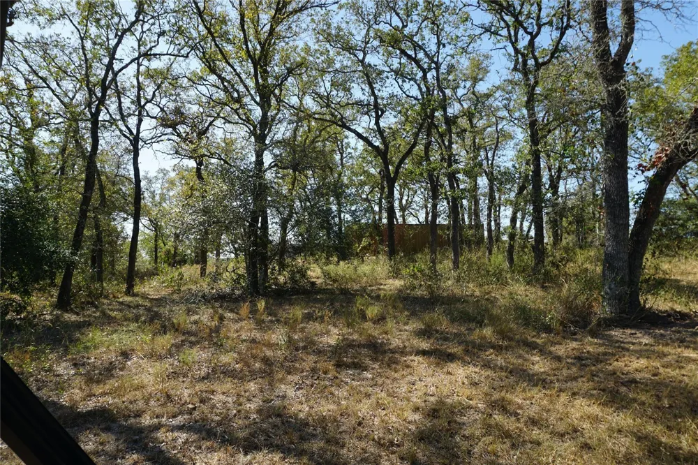 Old Seguin Luling Road Kingsbury, TX 78638