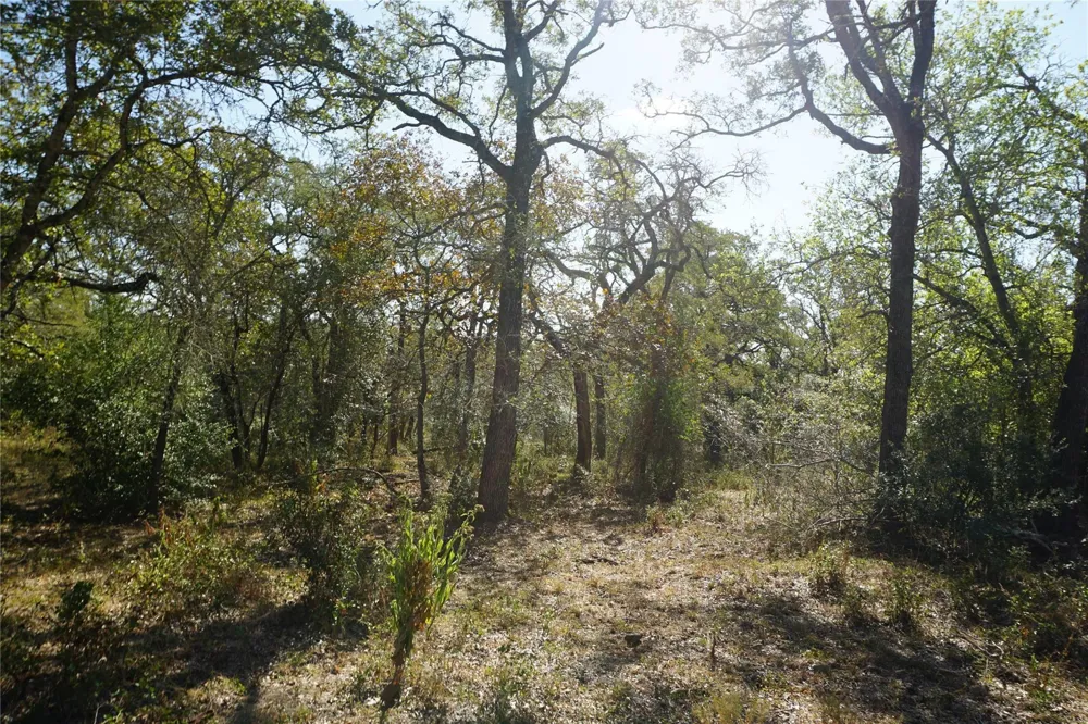 Old Seguin Luling Road Kingsbury, TX 78638