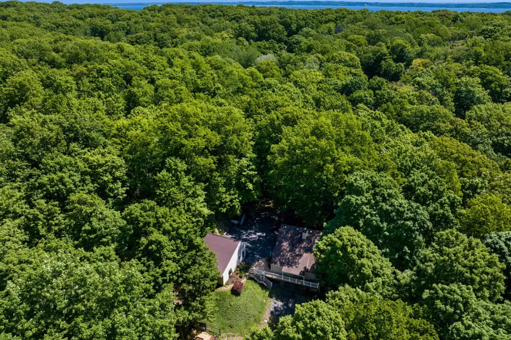 10520 S Dalzell Road Elmwood Charter Township, MI 49684