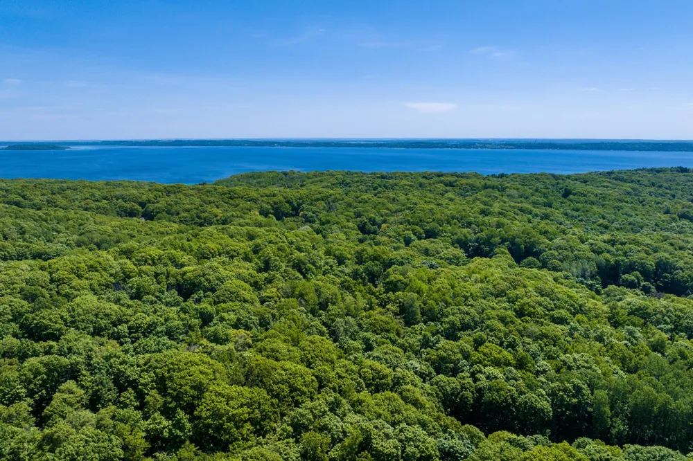 10520 S Dalzell Road Elmwood Charter Township, MI 49684