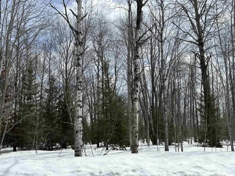 Thornton Drive