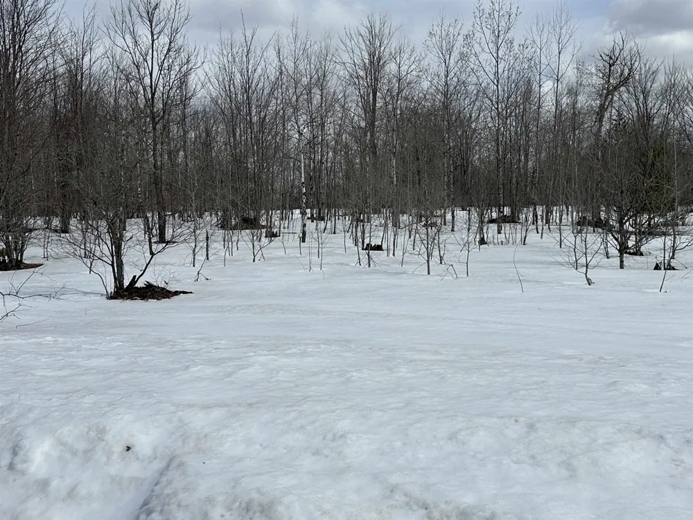 Clarmont Drive Mancelona Township, MI 49659