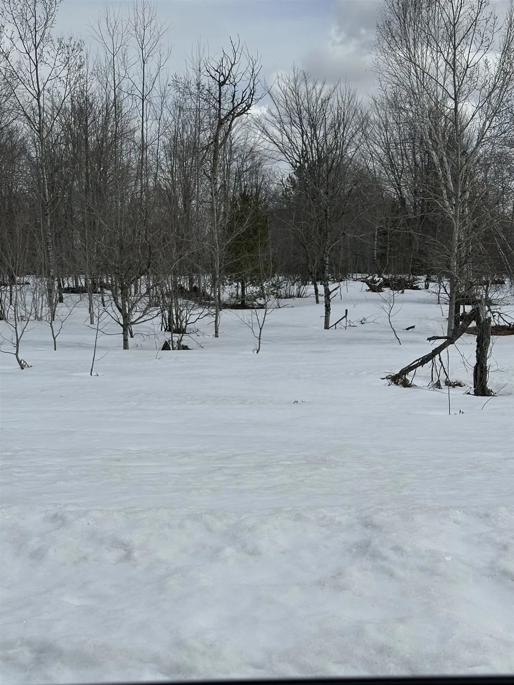 Clarmont Drive Mancelona Township, MI 49659