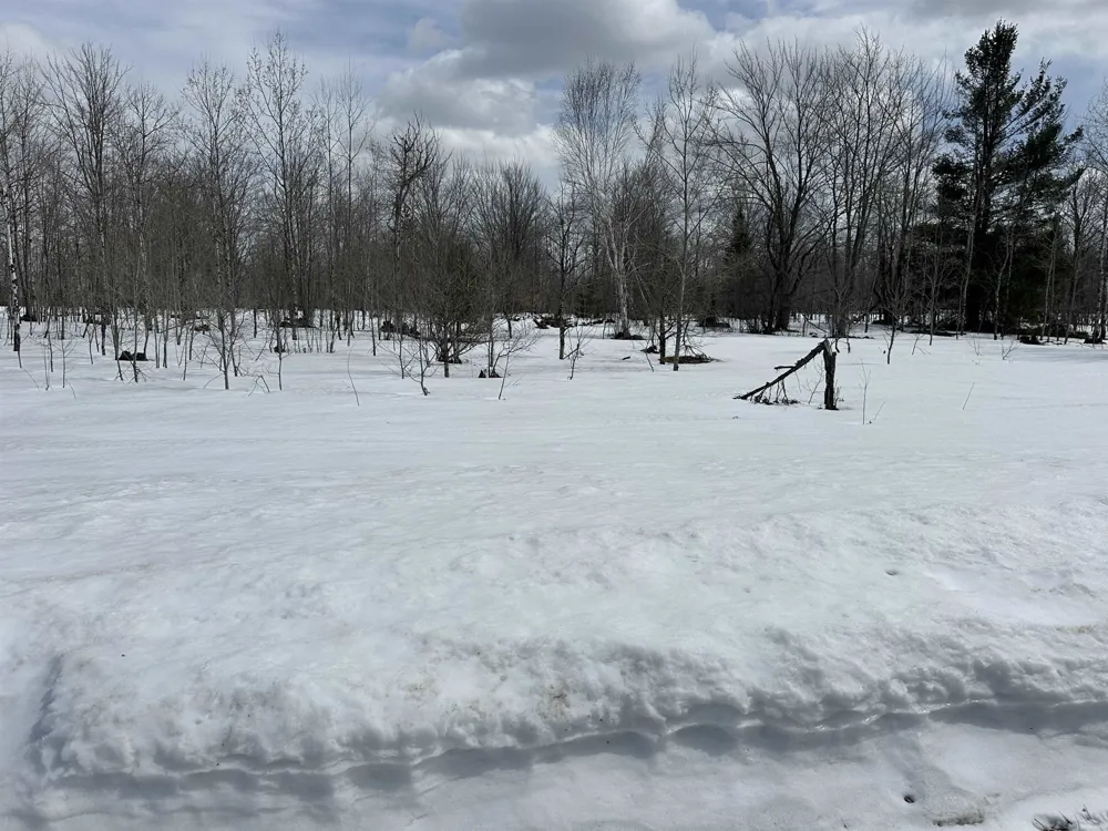 Clarmont Drive Mancelona Township, MI 49659