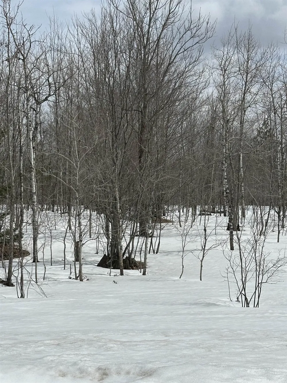 Clarmont Drive Mancelona Township, MI 49659