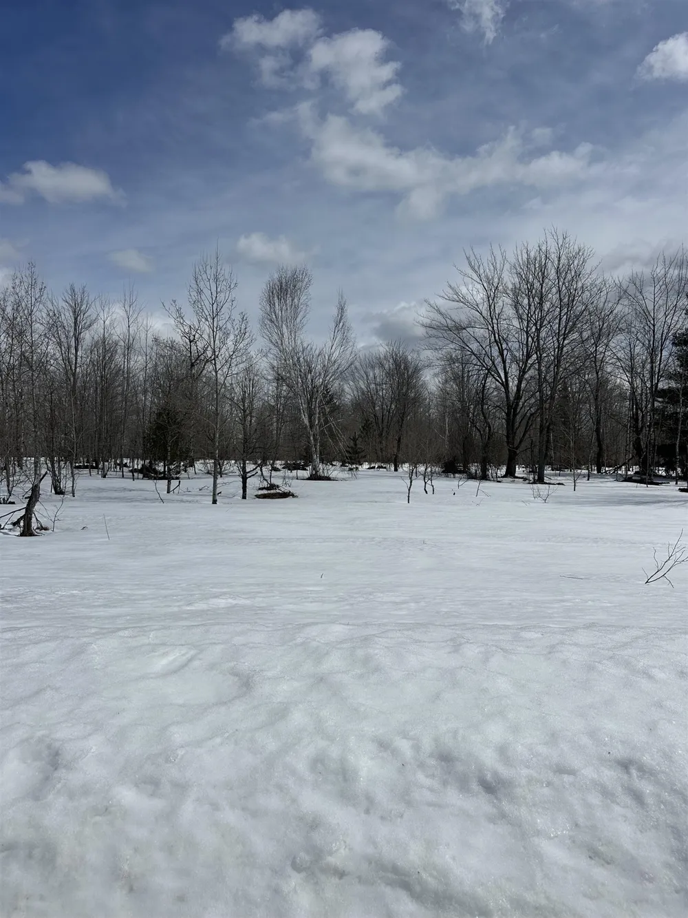 Clarmont Drive Mancelona Township, MI 49659