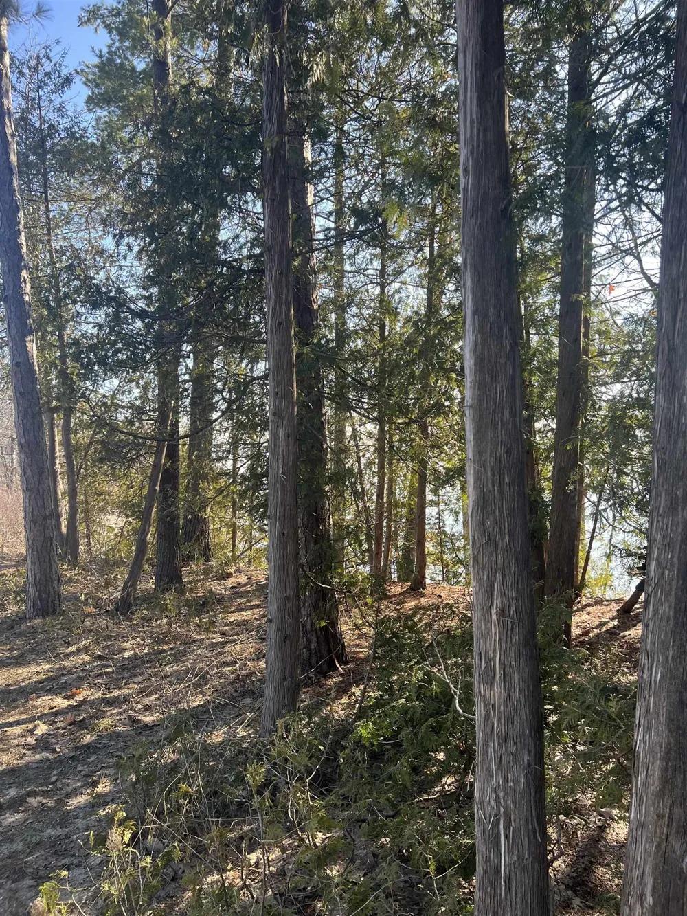 M-22 Suttons Bay Township, MI 49682