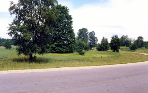 Alden Meadows