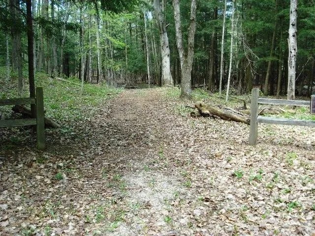 Alden Meadows Helena Township, MI 49612