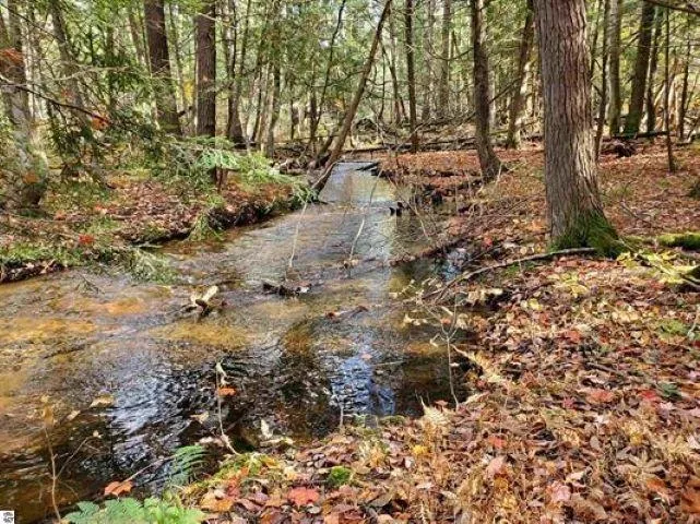 Alden Meadows Helena Township, MI 49612
