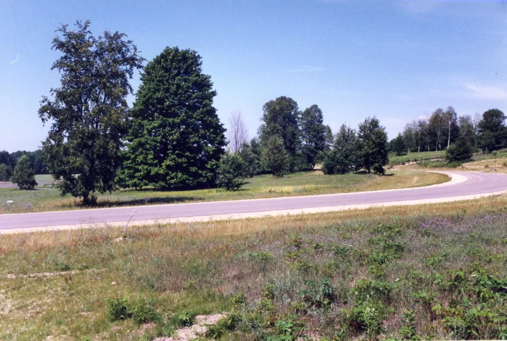 Alden Meadows Helena Township, MI 49612