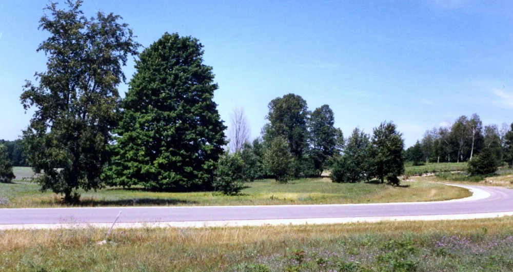 Alden Meadows Helena Township, MI 49612