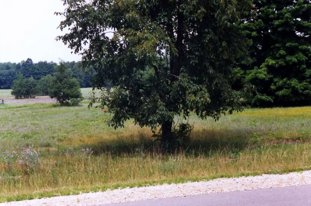 Alden Meadows Helena Township, MI 49612