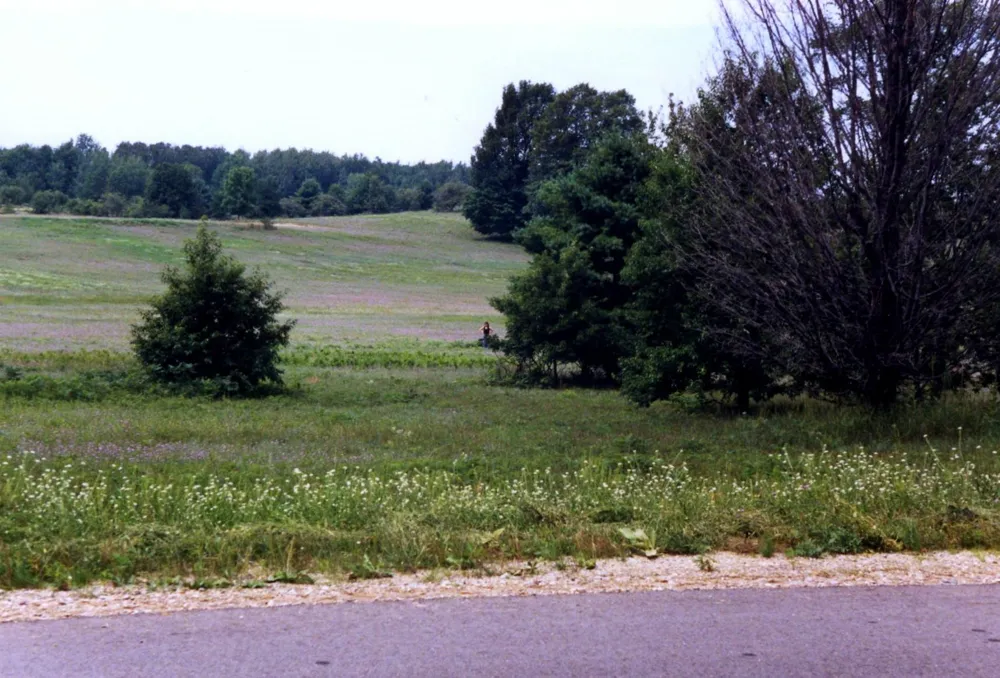 Alden Meadows Helena Township, MI 49612