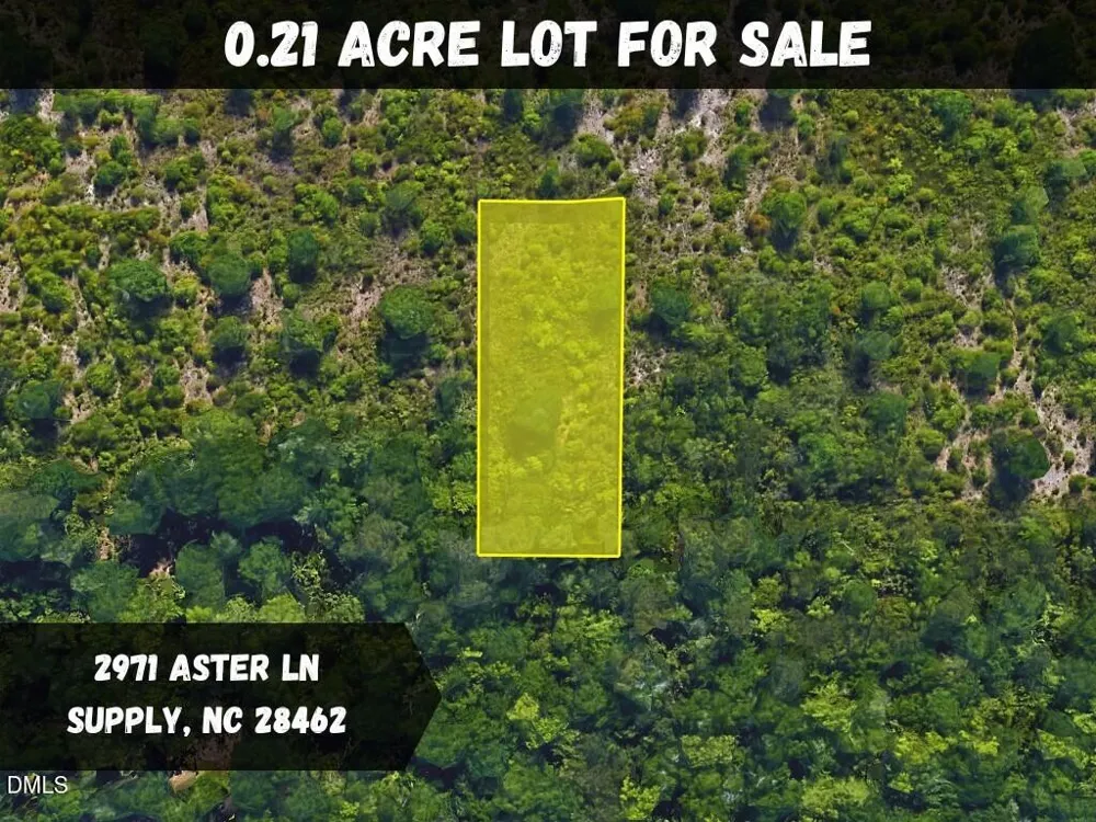 2971 Aster Lane SW Supply, NC 28452