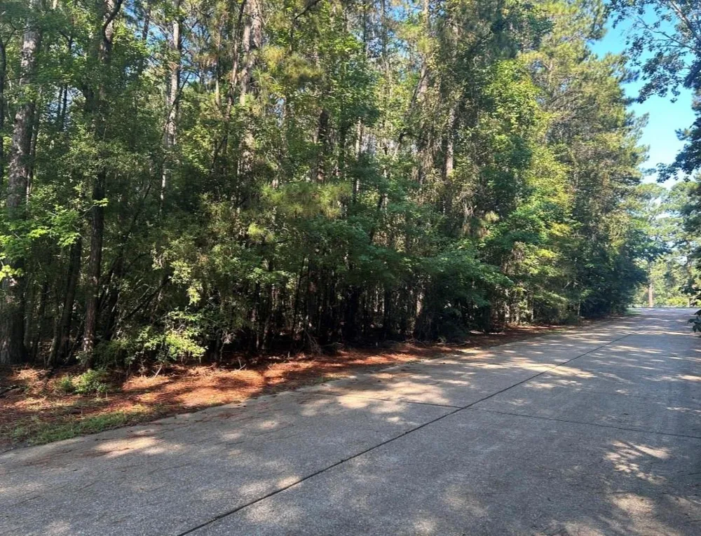 16 Forse Street Woodville, TX 75979
