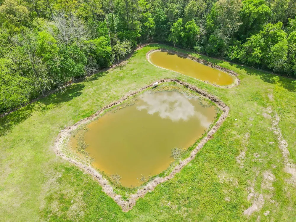 209 Camden Road Chester, TX 75936