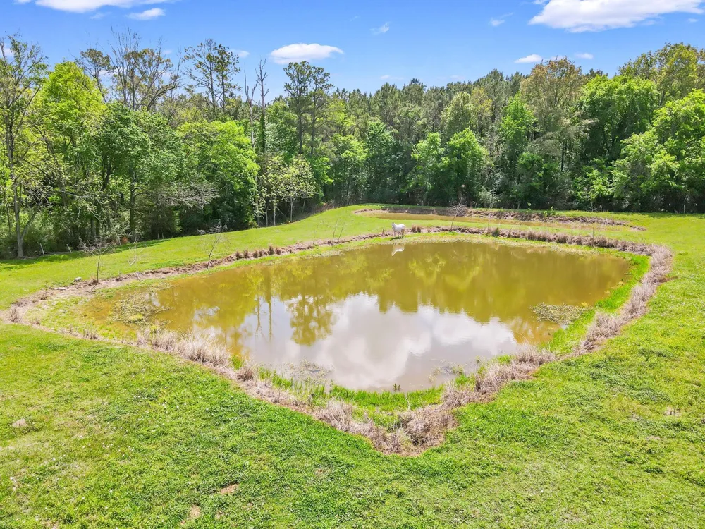 209 Camden Road Chester, TX 75936