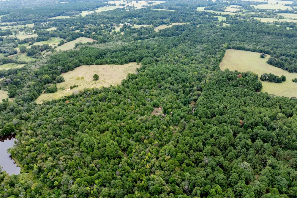 22 Acr Private Road 5040 Grapeland, TX 75844