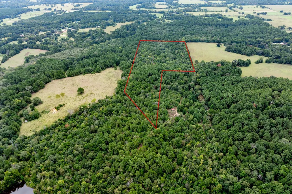 22 Acr Private Road 5040 Grapeland, TX 75844