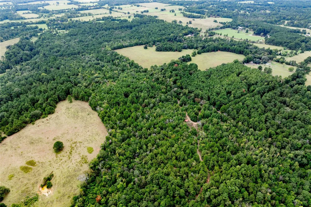22 Acr Private Road 5040 Grapeland, TX 75844