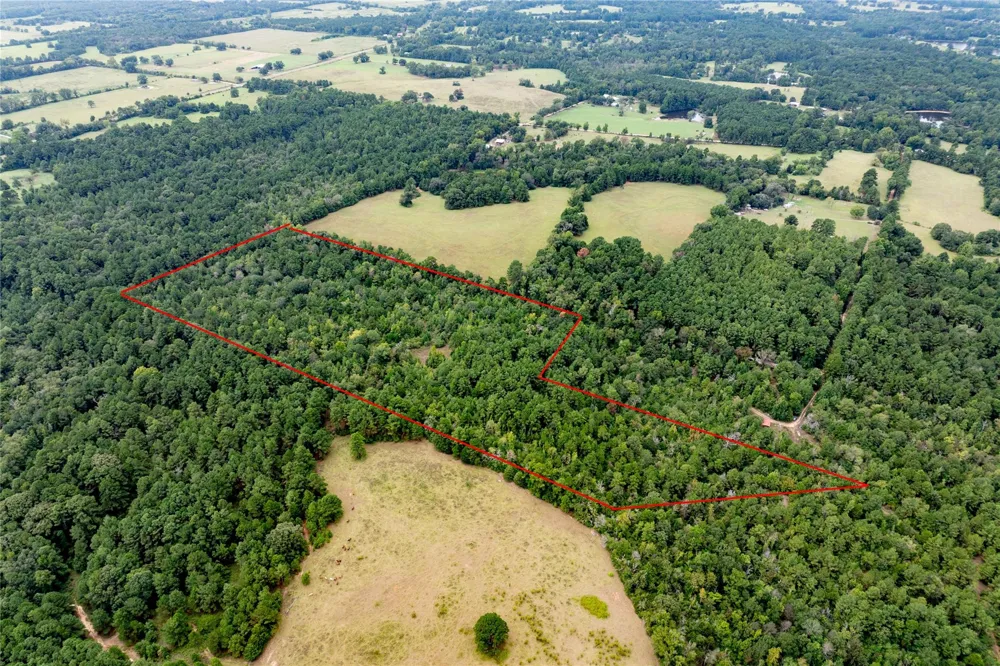 22 Acr Private Road 5040 Grapeland, TX 75844