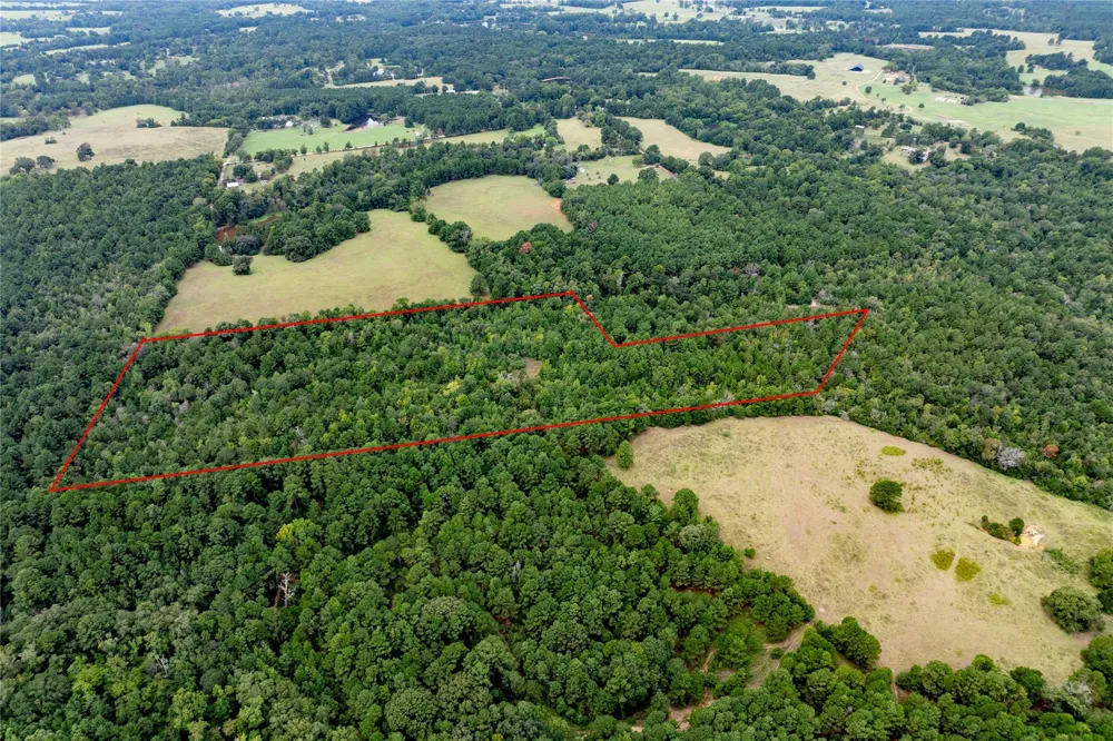 22 Acr Private Road 5040 Grapeland, TX 75844