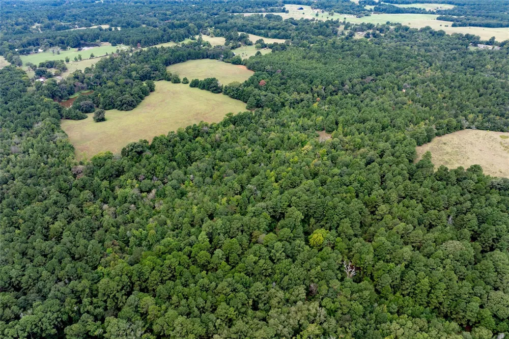 22 Acr Private Road 5040 Grapeland, TX 75844