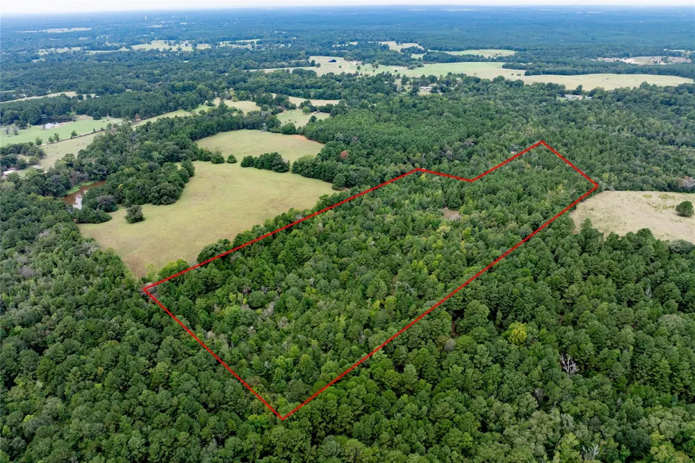 22 Acr Private Road 5040 Grapeland, TX 75844