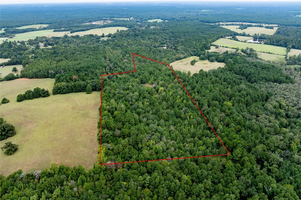 22 Acr Private Road 5040 Grapeland, TX 75844