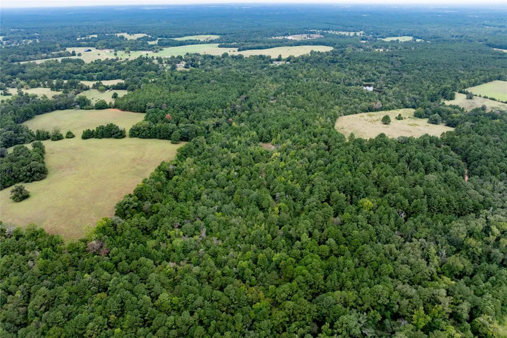 22 Acr Private Road 5040 Grapeland, TX 75844