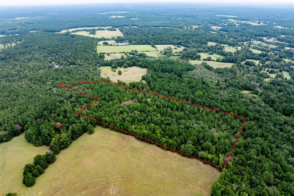 22 Acr Private Road 5040 Grapeland, TX 75844