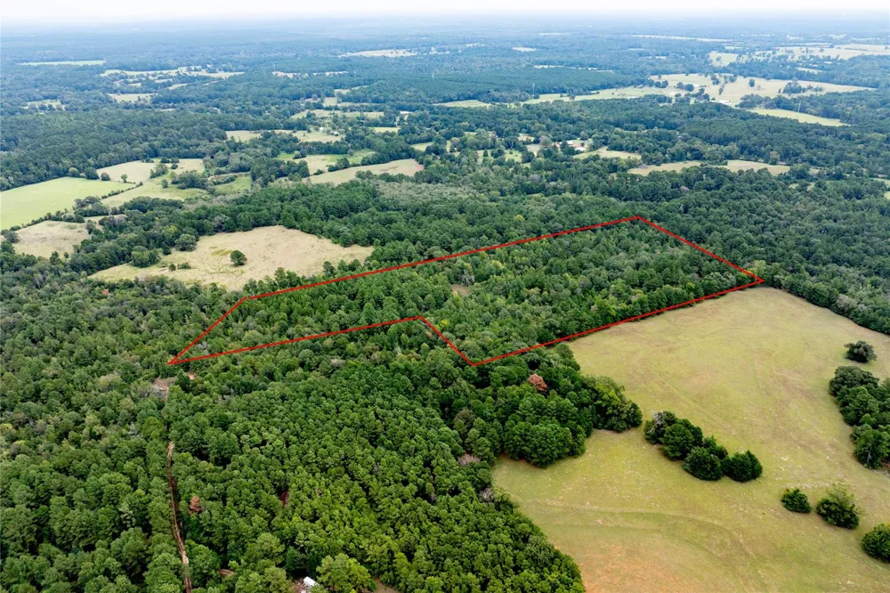 22 Acr Private Road 5040 Grapeland, TX 75844