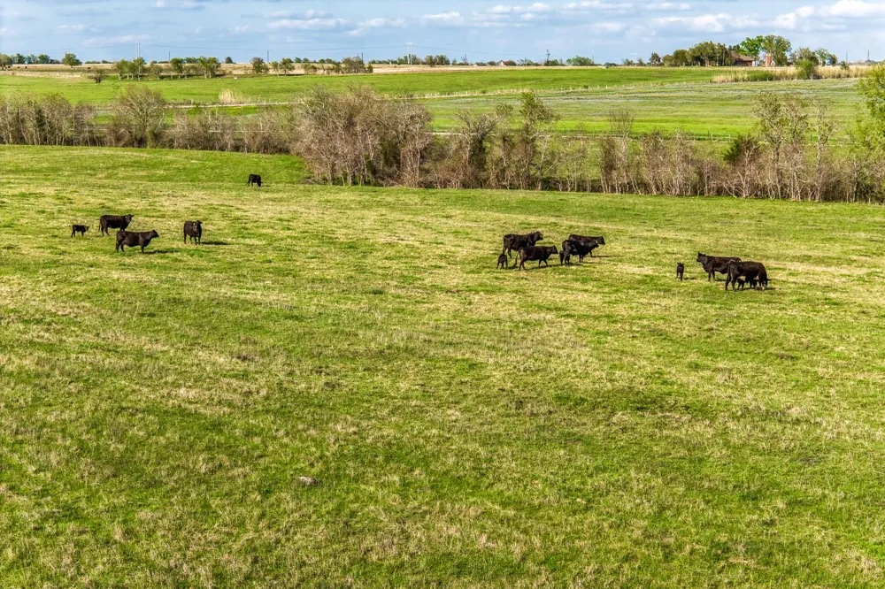 Fm 50 Brenham, TX 77833