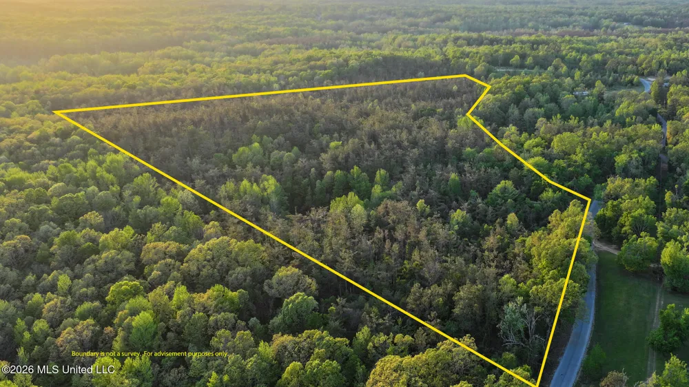 Dees Rd. Road Enid, MS 38927