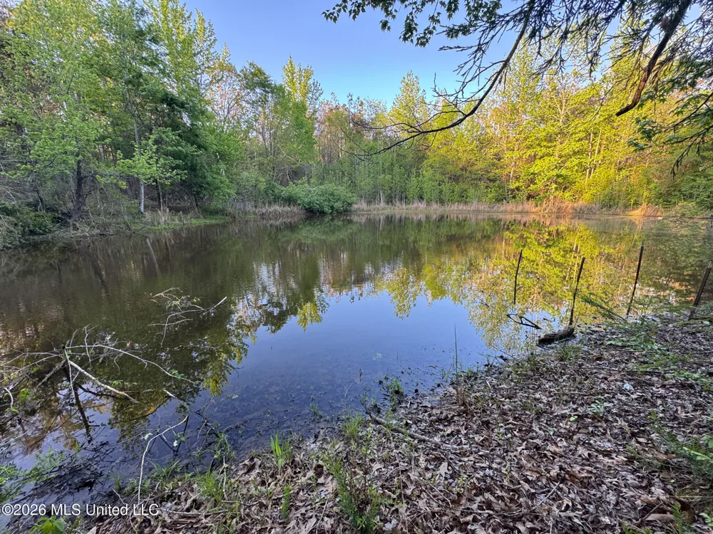 Dees Rd. Road Enid, MS 38927