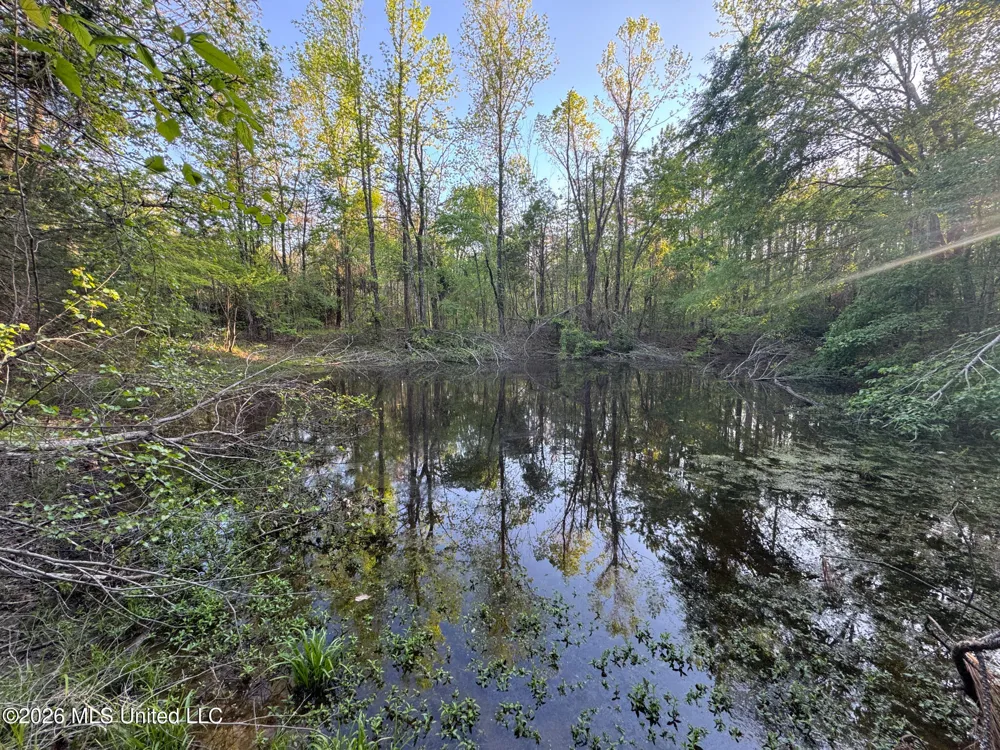 Dees Rd. Road Enid, MS 38927