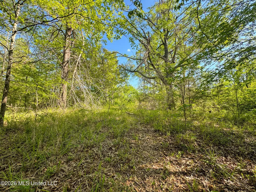 Dees Rd. Road Enid, MS 38927