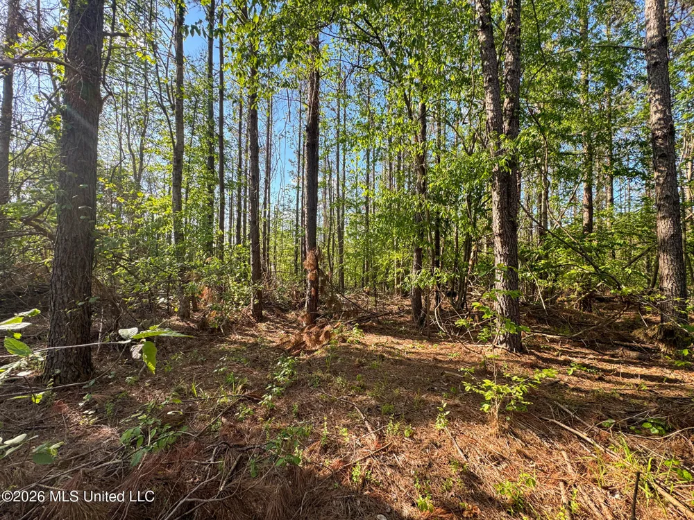 Dees Rd. Road Enid, MS 38927