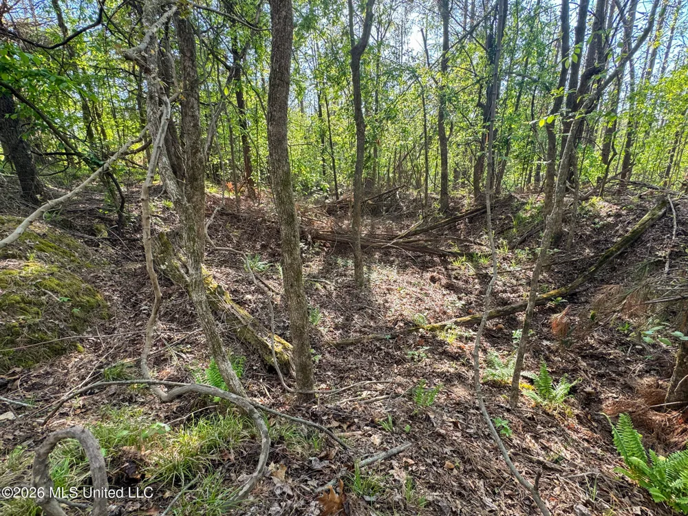Dees Rd. Road Enid, MS 38927