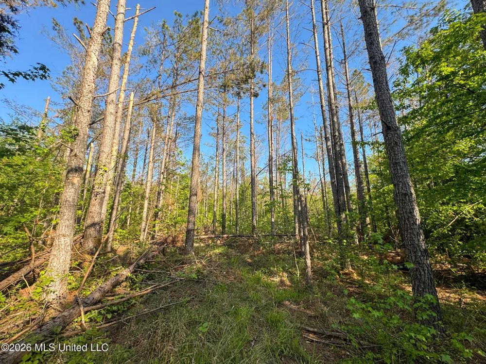 Dees Rd. Road Enid, MS 38927