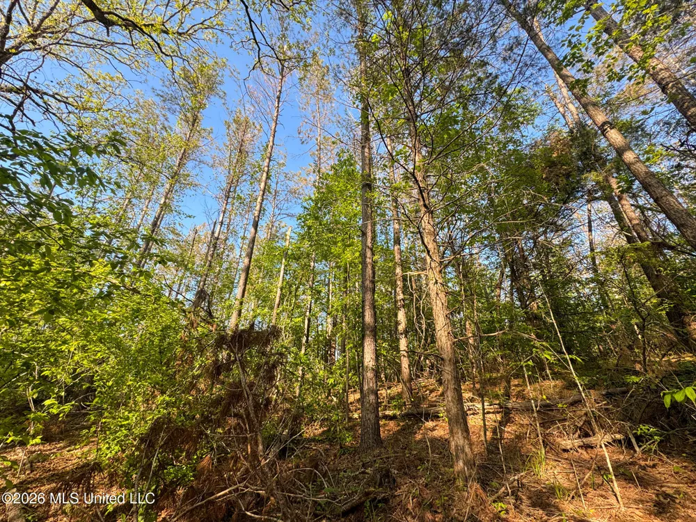 Dees Rd. Road Enid, MS 38927